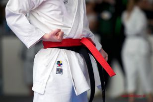 seibukan_Oesterr_Shotokan_Meisterschaft_StGeorgen_2015_059.jpg