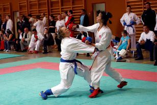 seibukan_Shotokan_Cup_2010_049.jpg