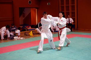 seibukan_Shotokan_Cup_2010_055.jpg