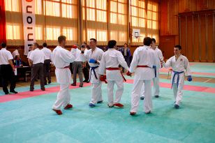 seibukan_Shotokan_Cup_2010_066.jpg