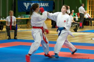 seibukan_Styrian_Open_Fuerstenfeld_2014_065.jpg