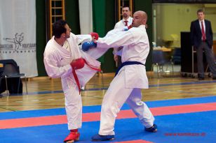 seibukan_Styrian_Open_Fuerstenfeld_2014_099.jpg