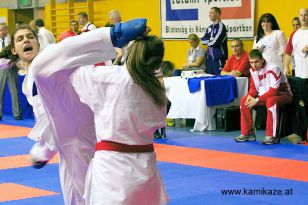 seibukan_Wado_Kai_EM_in_Budapest_2013_014.jpg