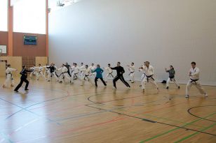 seibukan_Zwei_neue_Karate_Instruktoren _2015_013.jpg